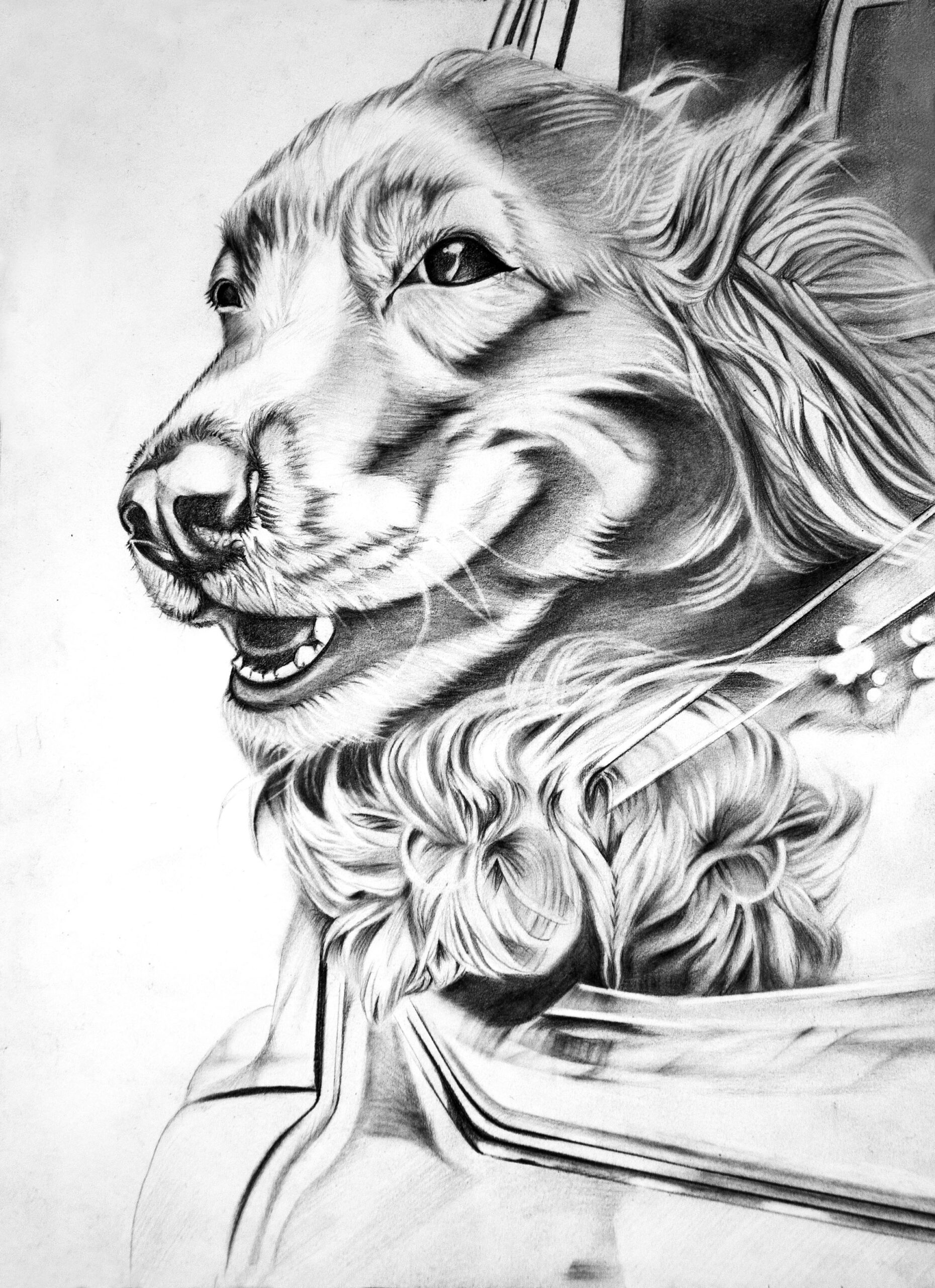 dog pencil portrait dog pencil portrait